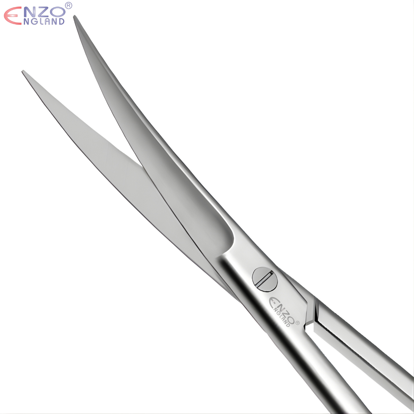 Joseph Scissors 6″