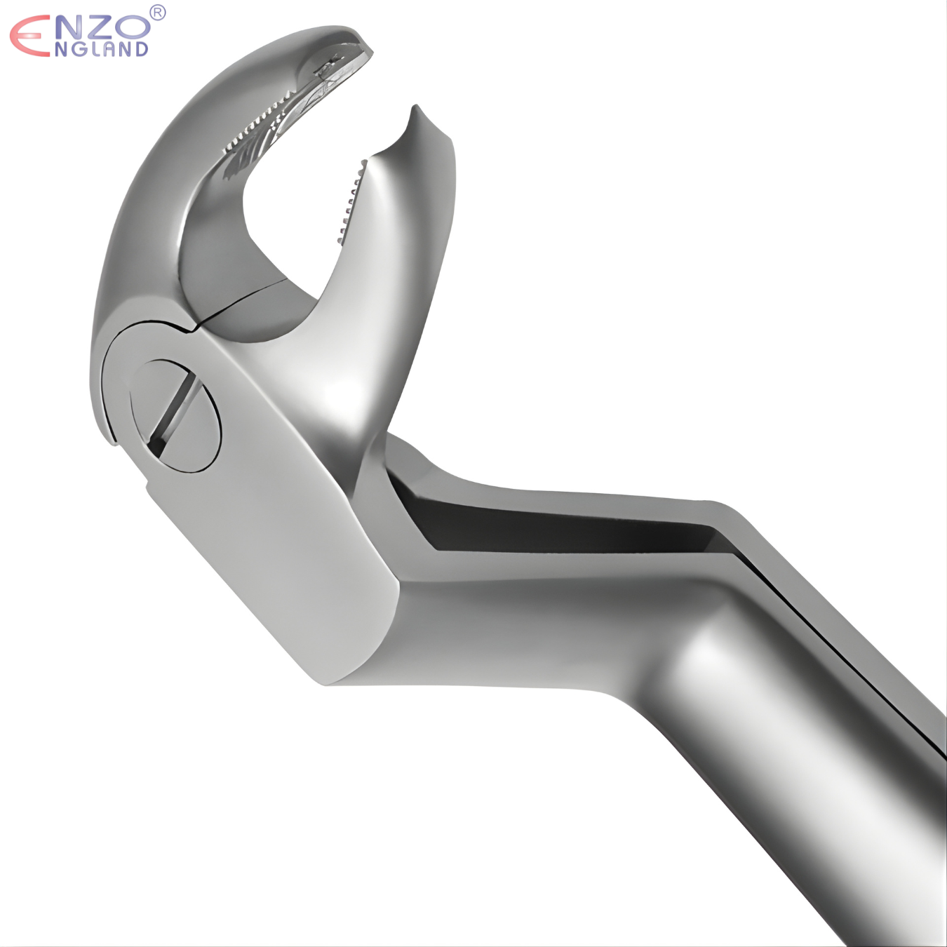 22 1/2R Extraction Forceps English Pattern