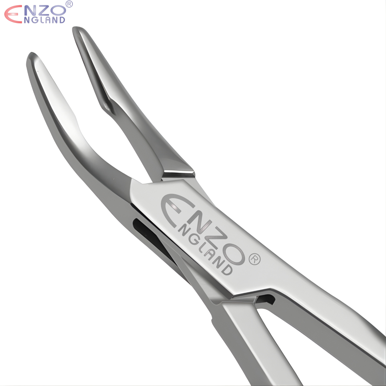 Bone Rongeurs S-Shaped 6″