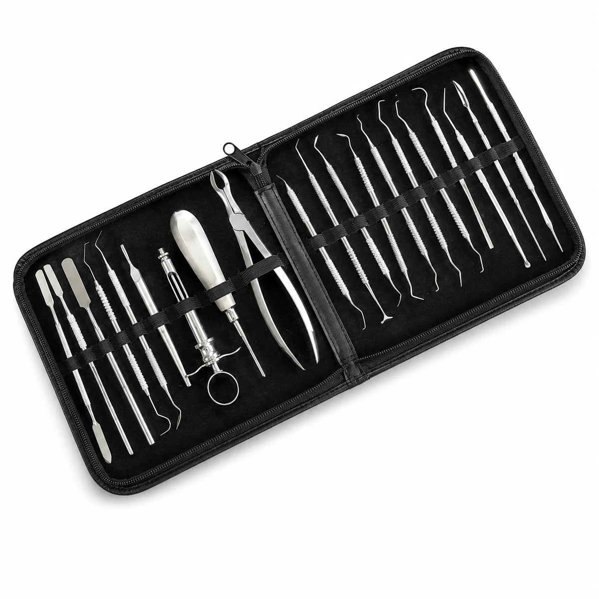 20-Piece Stainless Steel Dental Extraction & Examination Kit