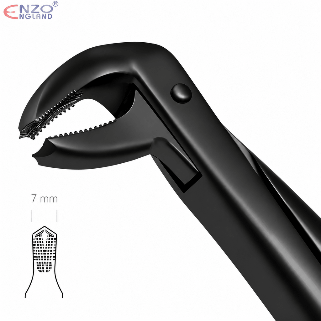 No. 73 Dental Extraction Forceps – Black Edition English Pattern Tooth Extraction Instrument - Enzo Dental