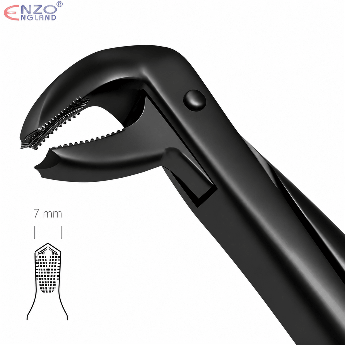No. 73 Dental Extraction Forceps – Black Edition English Pattern Tooth Extraction Instrument - Enzo Dental