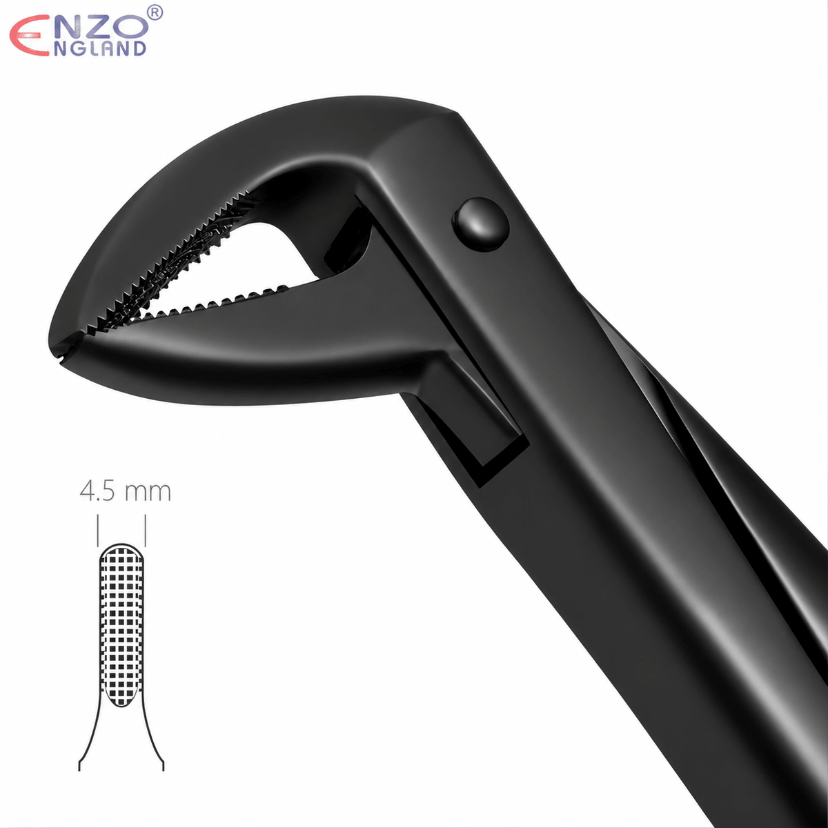No. 74 Dental Extraction Forceps – Black Edition English Pattern Tooth Extraction Instrument - Enzo Dental