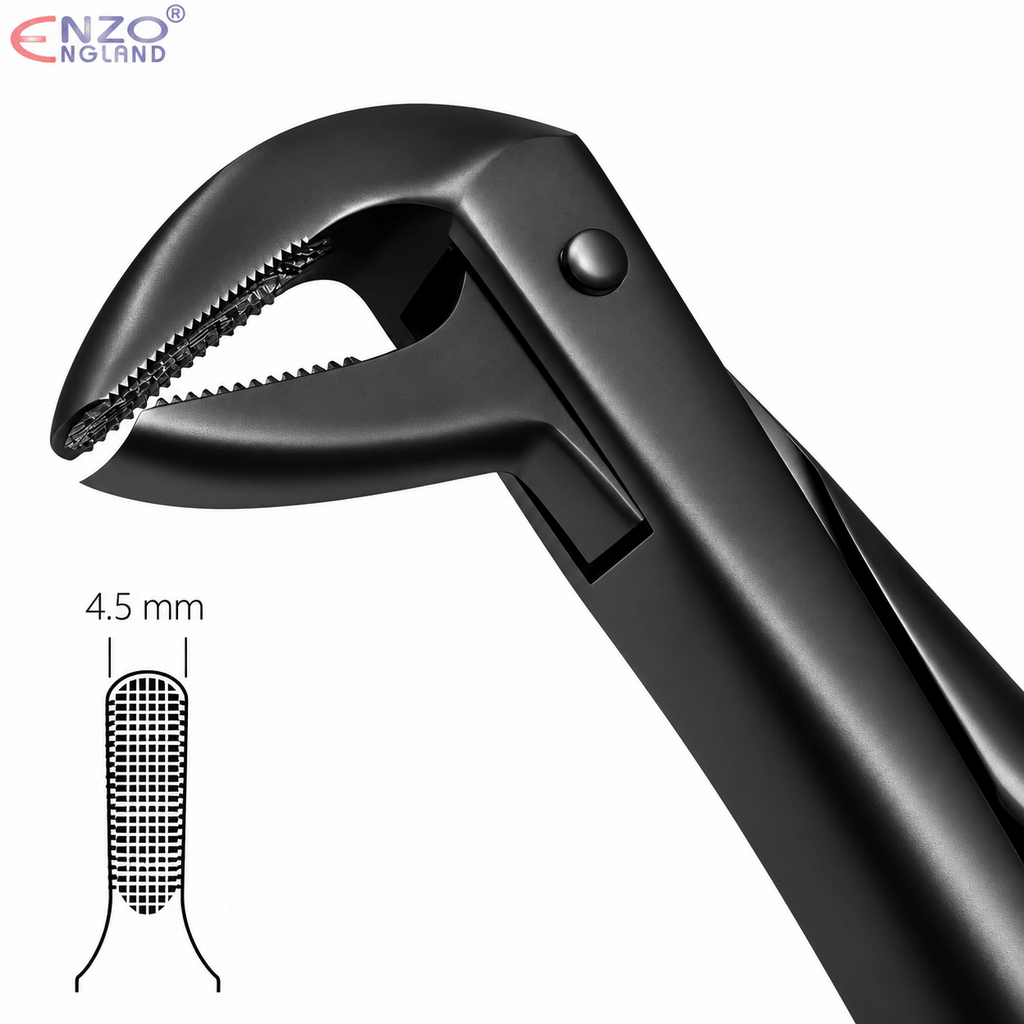 No. 75 Dental Extraction Forceps – Black Edition English Pattern Tooth Extraction Instrument - Enzo Dental