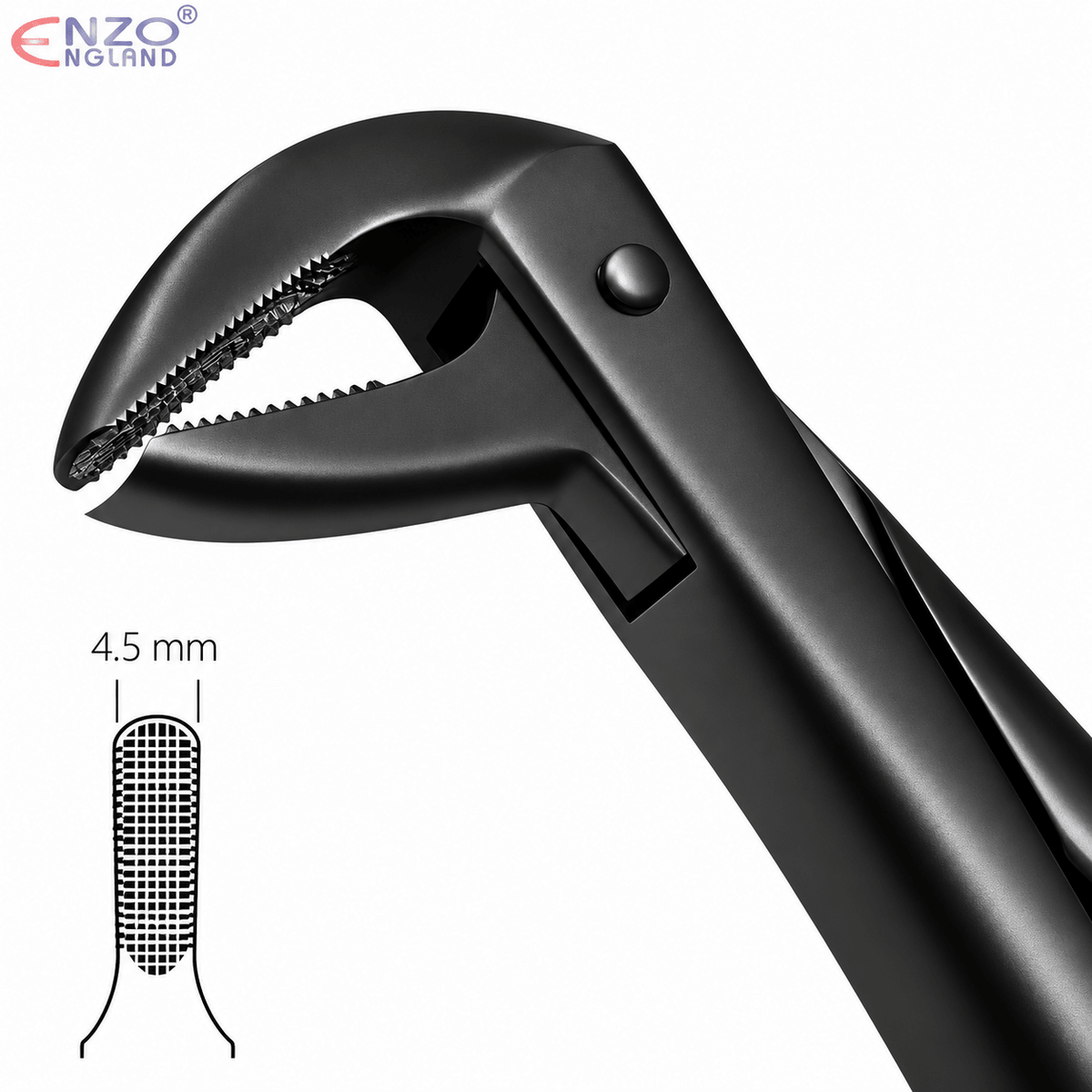 No. 75 Dental Extraction Forceps – Black Edition English Pattern Tooth Extraction Instrument - Enzo Dental