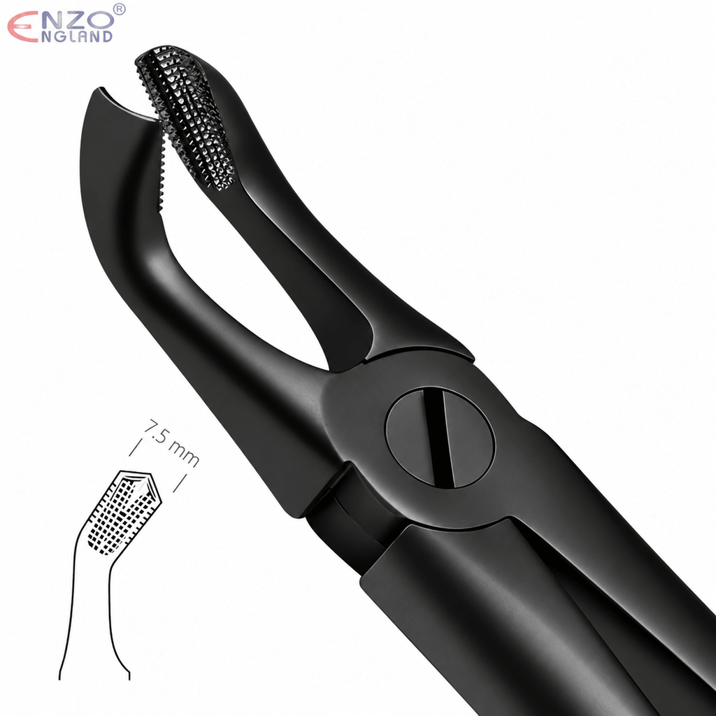 No. 79 Dental Extraction Forceps – Black Edition English Pattern Tooth Extraction Instrument - Enzo Dental