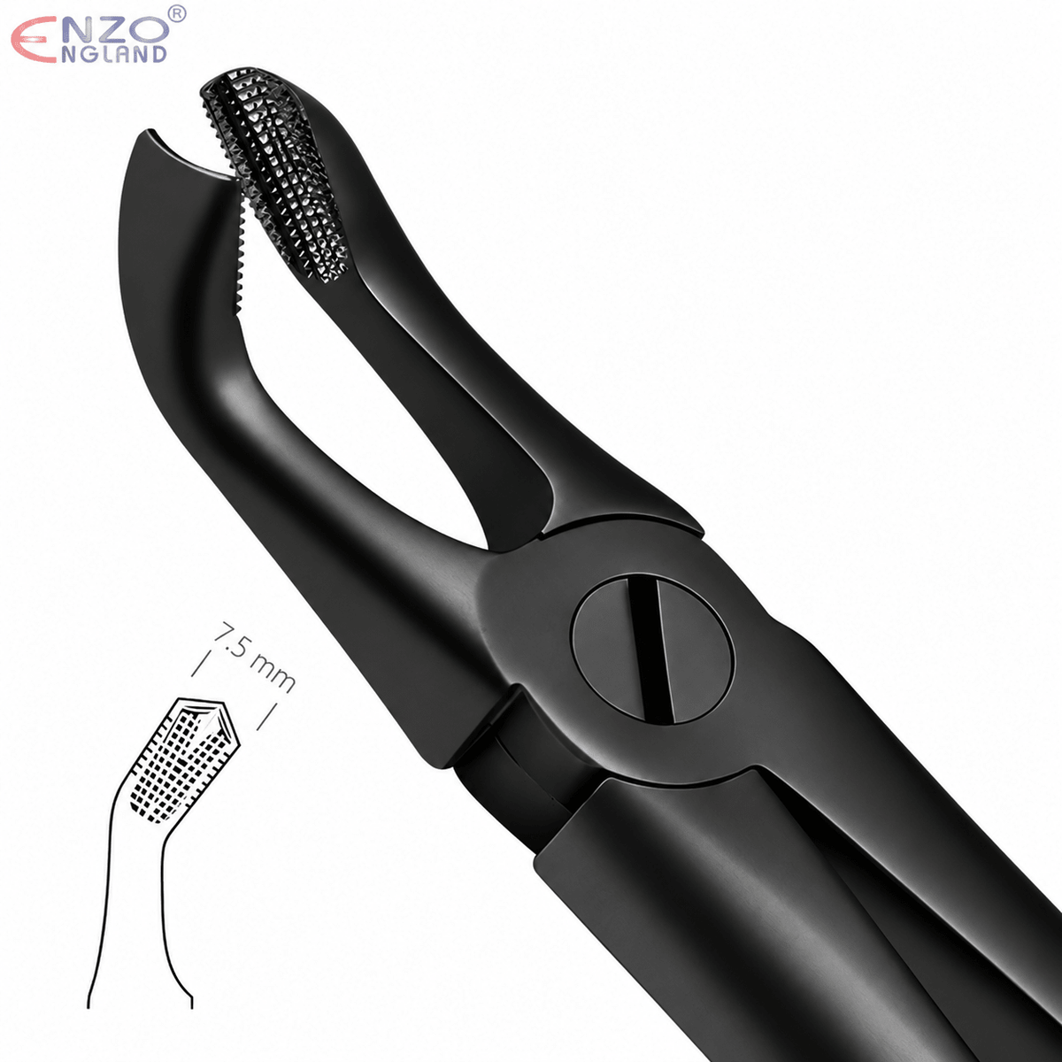 No. 79 Dental Extraction Forceps – Black Edition English Pattern Tooth Extraction Instrument - Enzo Dental