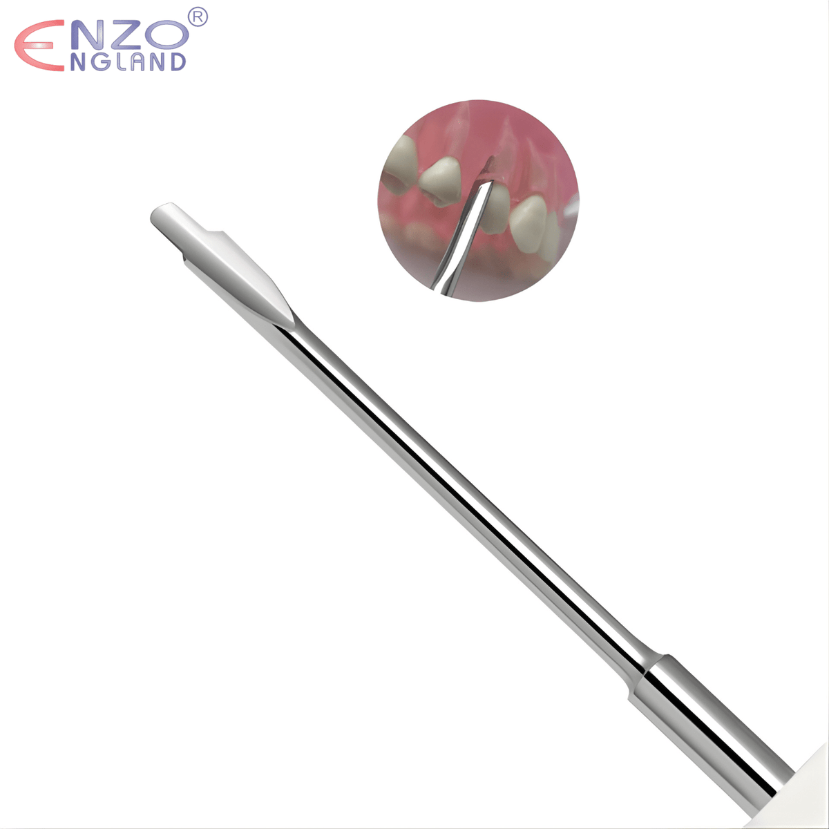 Luxator Dental Elevator Dual Edge, Silicone Handle – Tooth Extraction Instrument