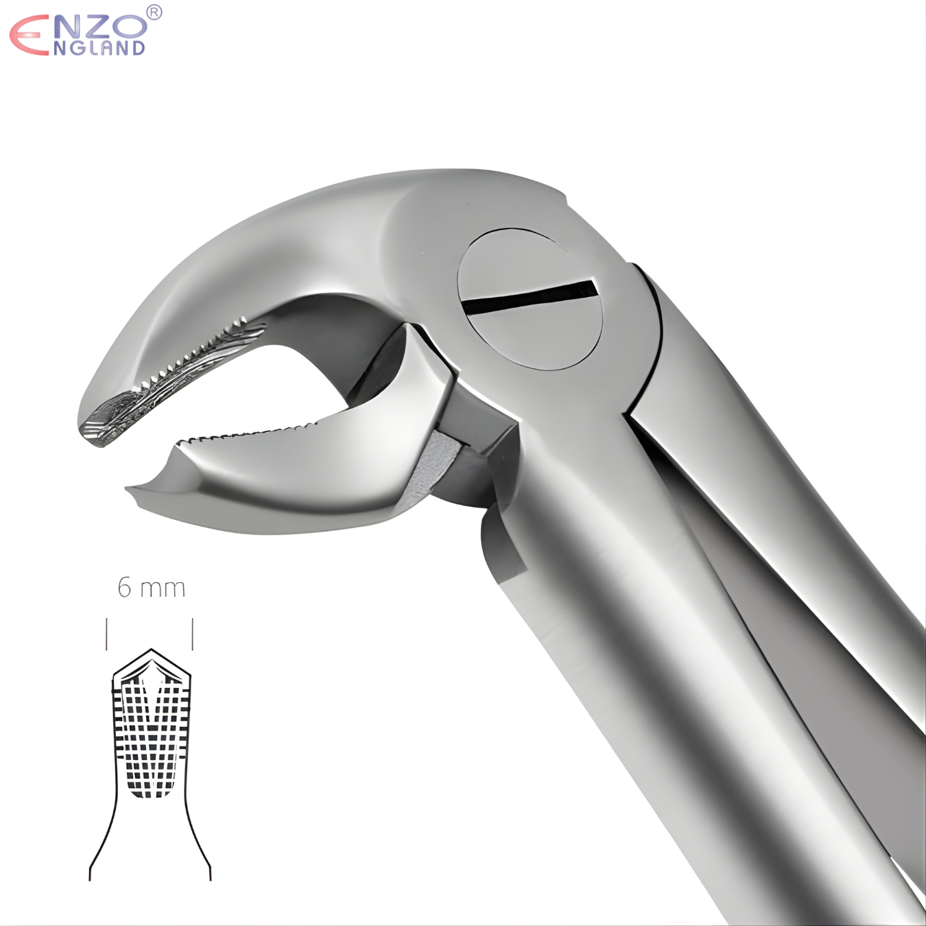 22 Extraction forceps English Pattern
