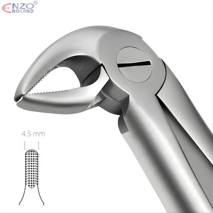 33 Root Extraction Forceps English Pattern