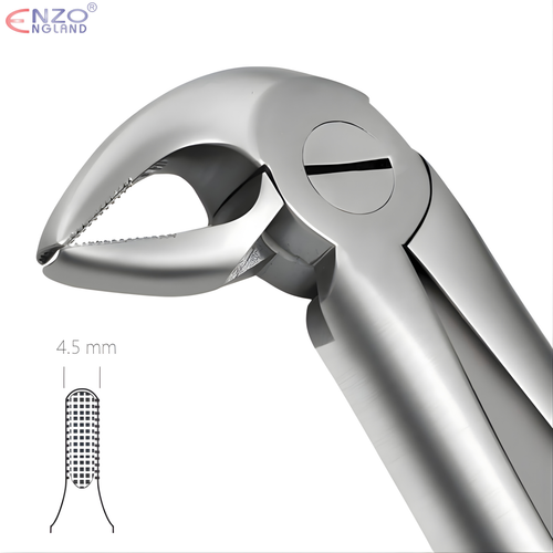 33 Root Extraction Forceps English Pattern