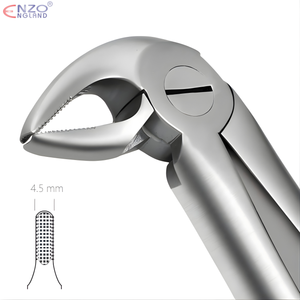 33 Root Extraction Forceps English Pattern