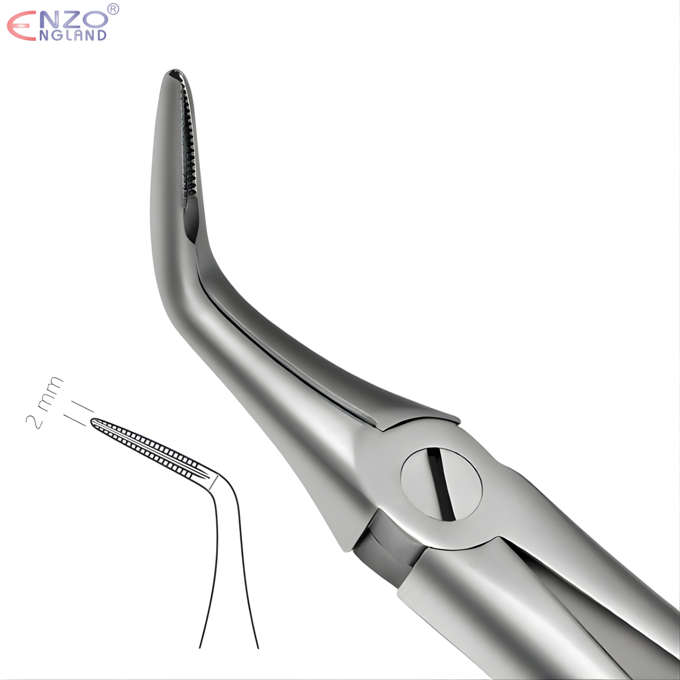 46L Root Extraction Forceps English Pattern