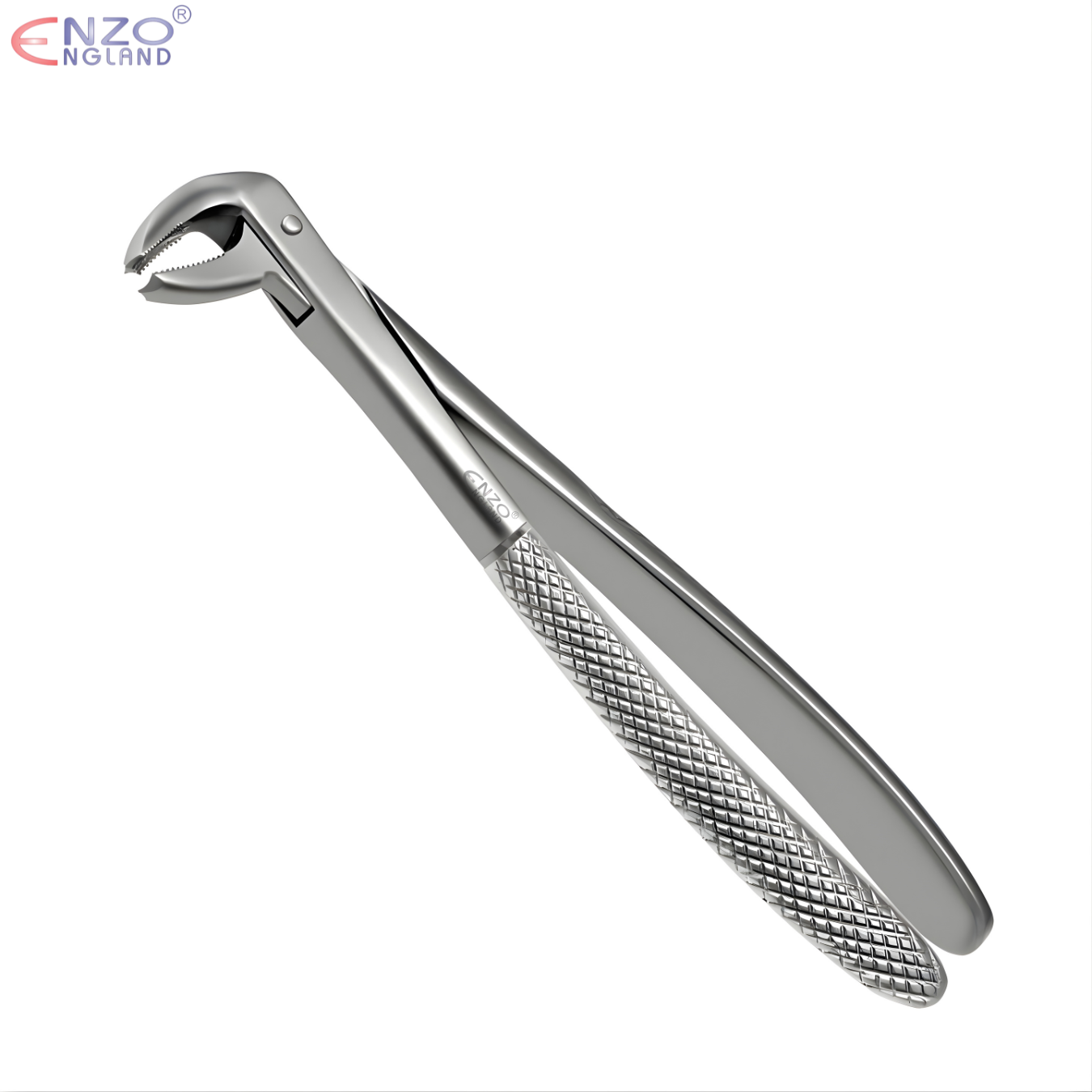 73 Extraction Forceps English Pattern