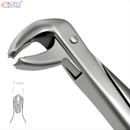 73 Extraction Forceps English Pattern