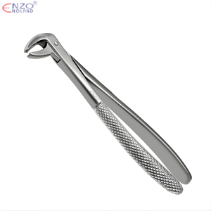 73 Extraction Forceps English Pattern
