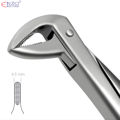 74 Extraction Forceps English Pattern