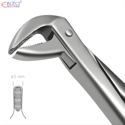 75 Extraction Forceps English Pattern
