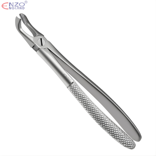79 Extraction Forceps English Pattern