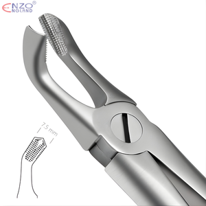 79 Extraction Forceps English Pattern
