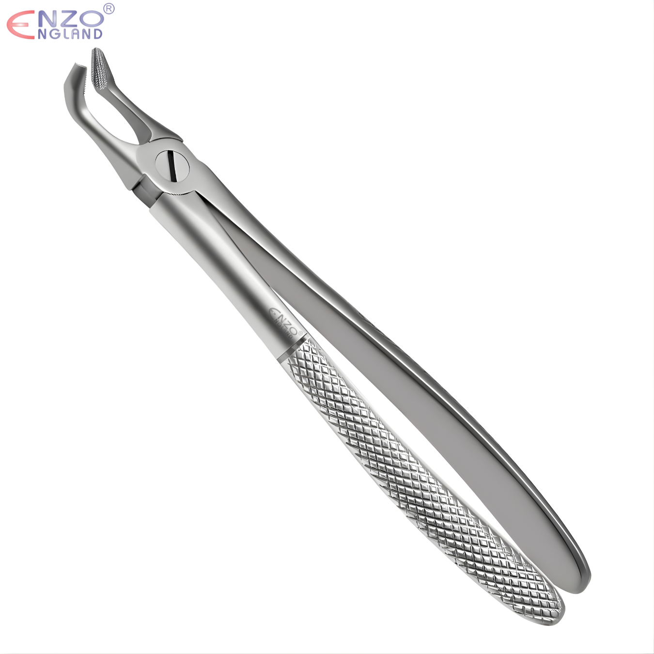 79N Extraction Forceps English Pattern
