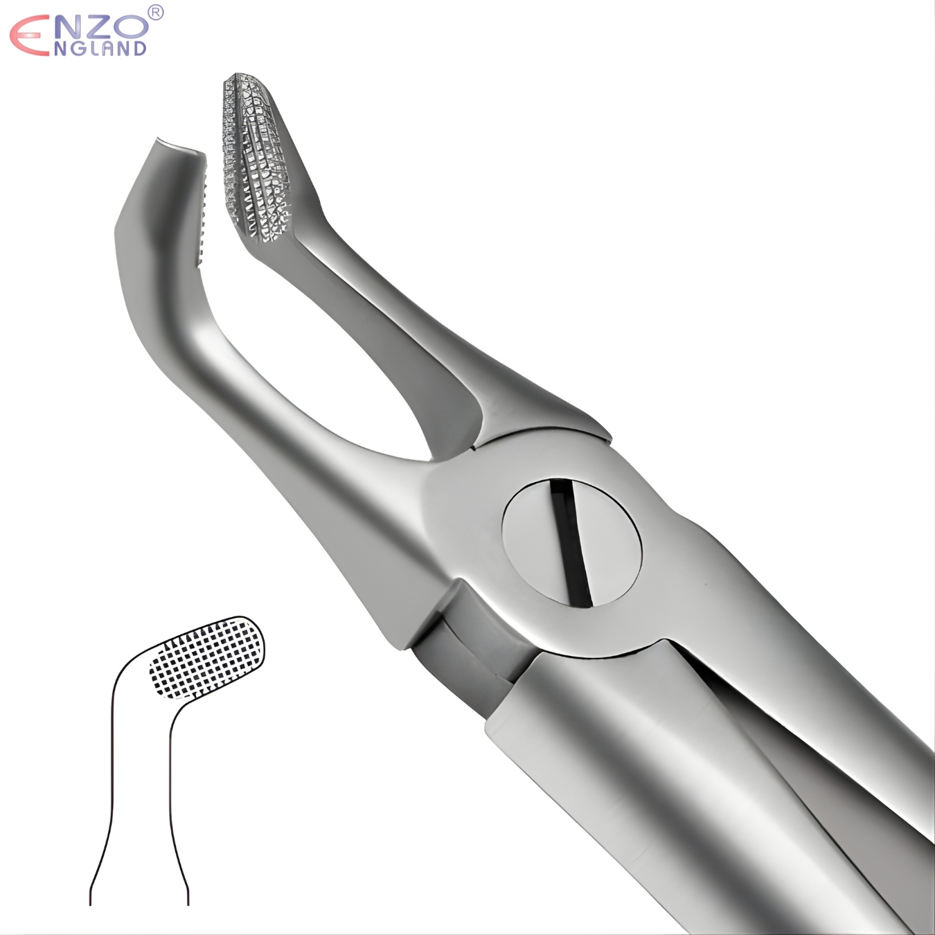 79N Extraction Forceps English Pattern