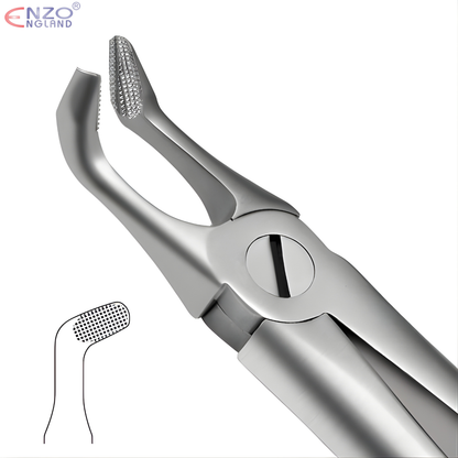 79N Extraction Forceps English Pattern