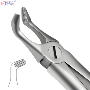 79N Extraction Forceps English Pattern