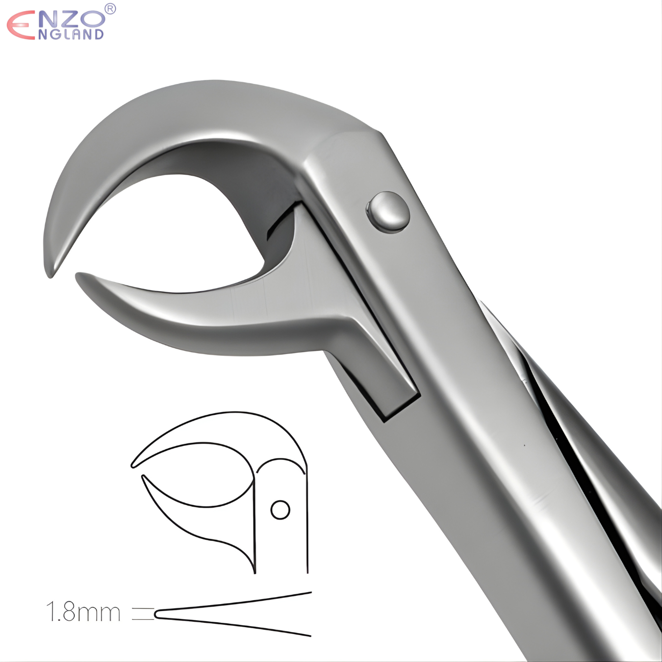 86A Extraction Forceps English Pattern
