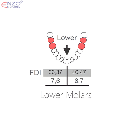 86A Extraction Forceps English Pattern