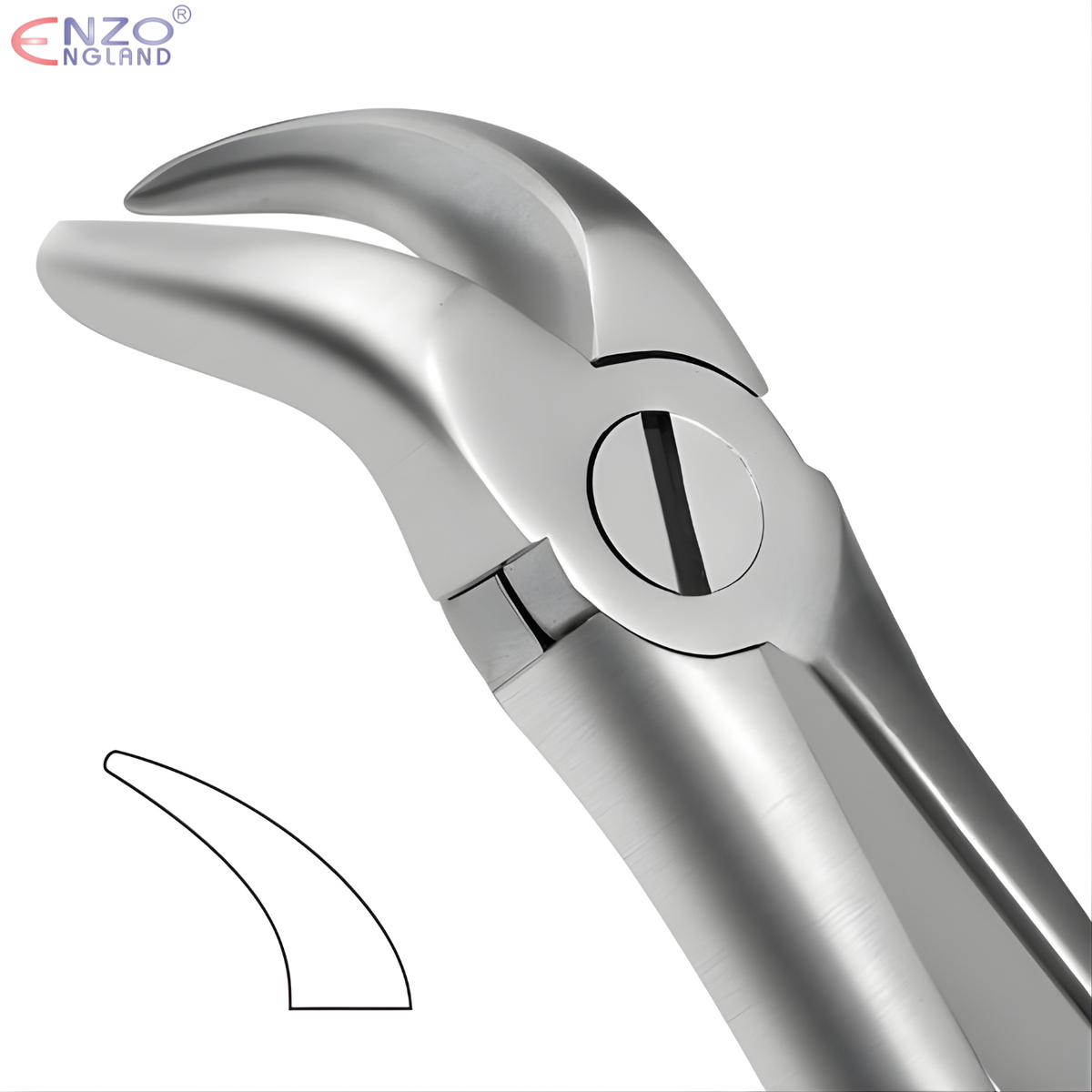 87 Extraction Forceps Cowhorn beak English Pattern