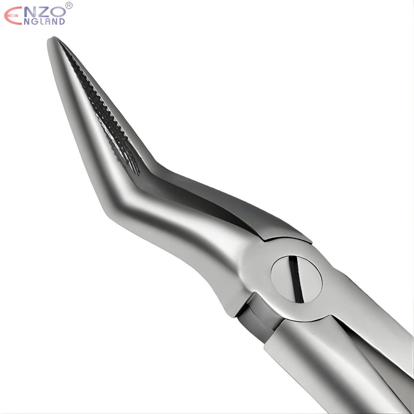 97 Extraction Forceps English Pattern