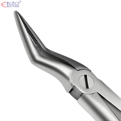 97 Extraction Forceps English Pattern