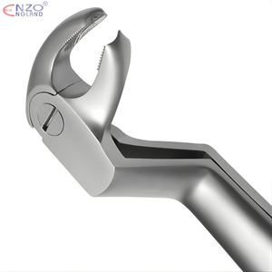 22 1/2R Extraction Forceps English Pattern