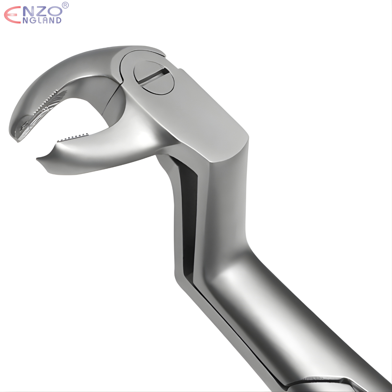 22 1/2L Extraction Forceps English Pattern
