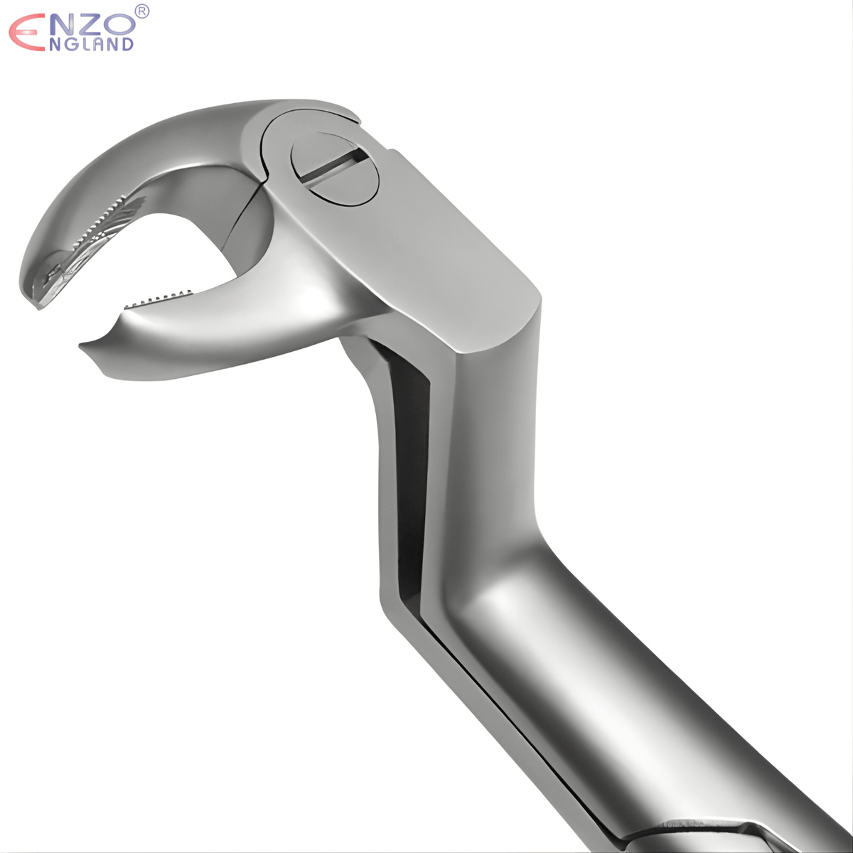 22 1/2L Extraction Forceps English Pattern
