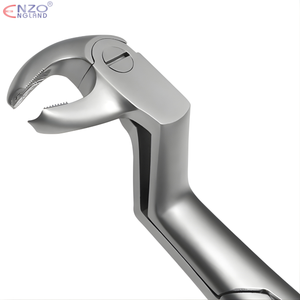 22 1/2L Extraction Forceps English Pattern