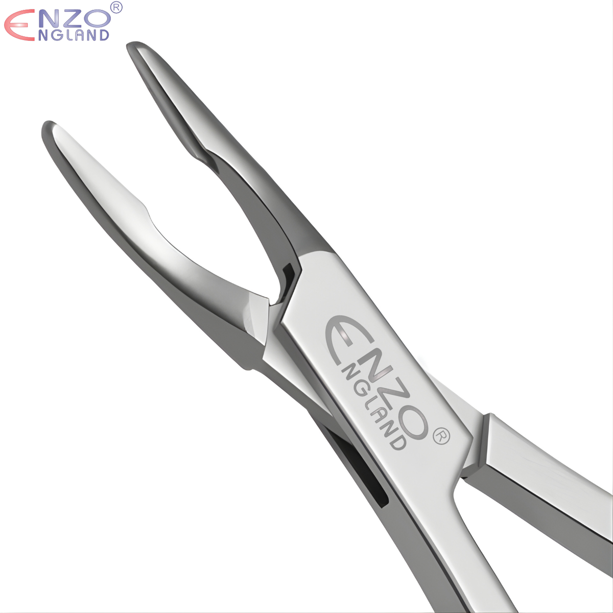 Bone Rongeurs 6″