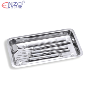 Instruments Tray Small