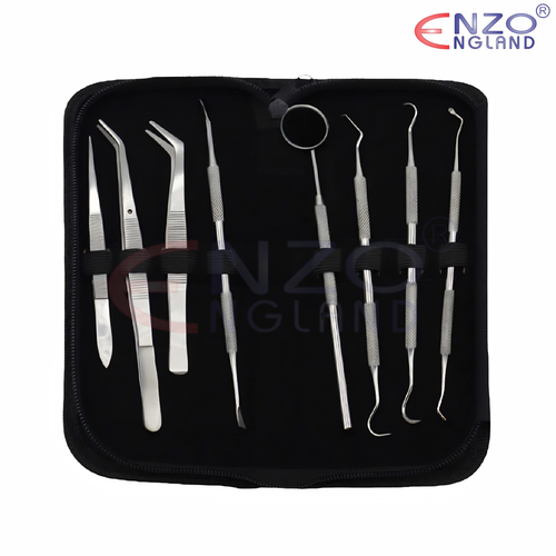 Professional Student kits 8 in 1 Teeth Dental cleaning kits Stainless Steel / Dental Oral Hygiene Kit