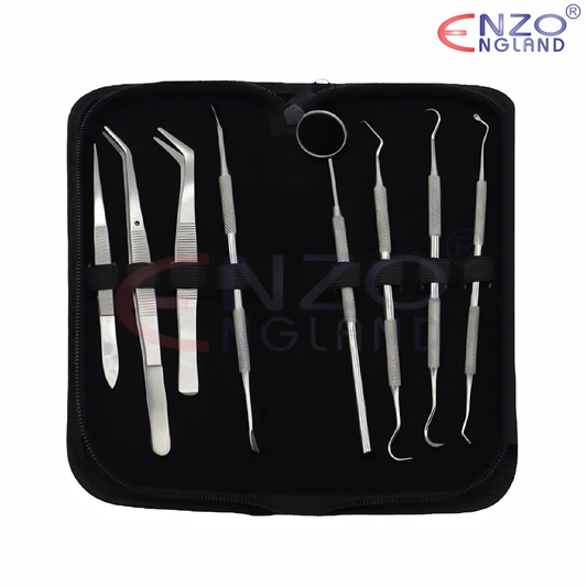 Professional Student kits 8 in 1 Teeth Dental cleaning kits Stainless Steel / Dental Oral Hygiene Kit