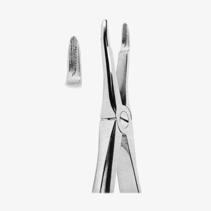 Extracting Forceps