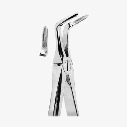 Extracting Forceps