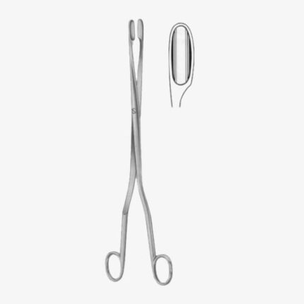 Winter Placenta Ovum Forceps SJ