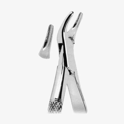 Extracting Forceps American Pattern