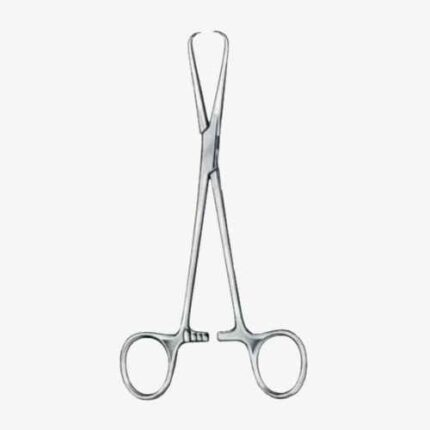 Barnhard Towel Forceps BJ